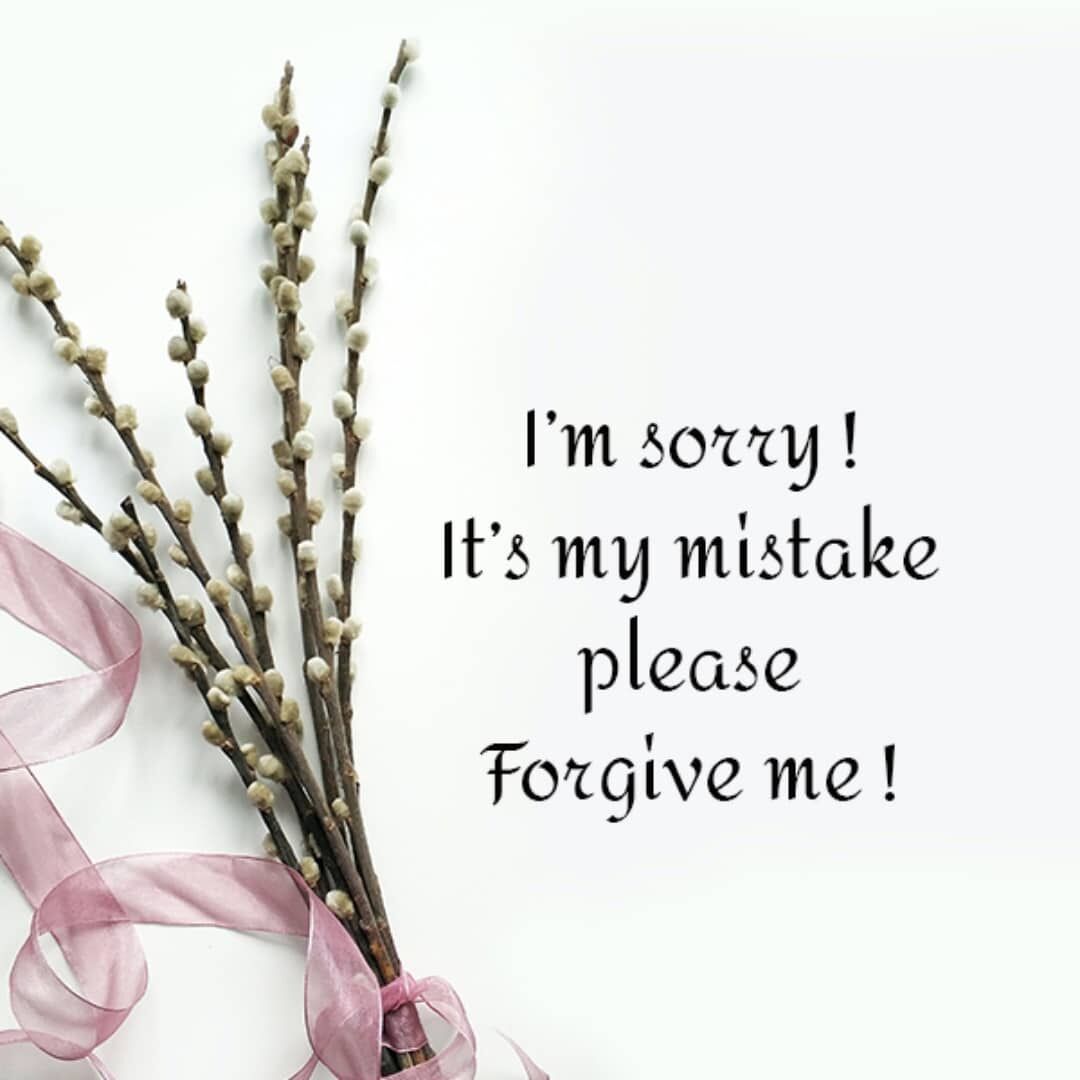 50 Please Forgive Me Quotes For Her & Him With Images